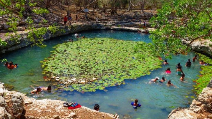 Top 3 de los cenotes más bonitos y seguros en Yucatán para viajar con niños estas vacaciones