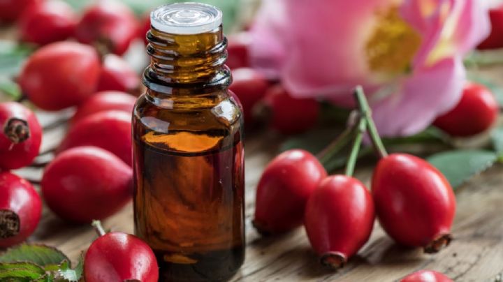 Así puedes cultivar este PODEROSO ingrediente para un aceite que te hará lucir 20 años más joven