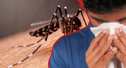 Dengue en Yucatán 2025: cuántos casos graves hay y cómo prevenirlo en esta temporada de lluvias