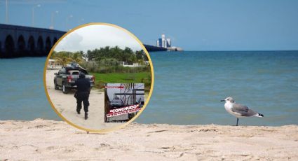 Turistas meten su camioneta a playa de Progreso e indignan a usuarios de redes