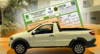 ¿Cómo tramitar la reposición de la Tarjeta de Circulación en Mérida? Paso a paso para obtenerla 2025