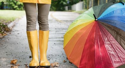 ¿Seguirá lloviendo? Esto dice el pronóstico del clima para Yucatán, este jueves 24 de julio