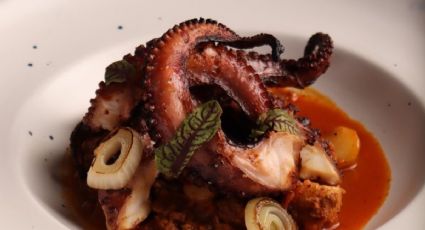 Desempolva el recetario: platillos para preparar con pulpo desde este viernes 1 de agosto