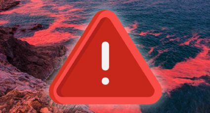 Yucatán emite alerta por marea roja: Prohíben pesca y actividades recreativas de Progreso a Celestún