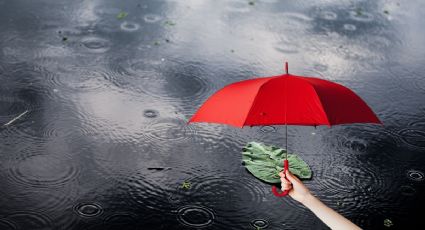 Yucatán inicia la semana con potencial de tormentas para este 25 de agosto