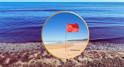 Marea Roja 2025: ¿qué costas de Yucatán continúan en alerta?  | MAPA