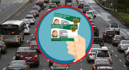 Licencia para conducir en Yucatán: guía paso a paso para tramitarla por primera vez