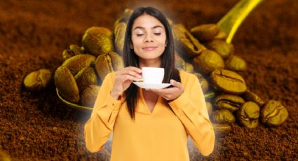 Descubre las 5 cafeterías con diseño único en Mérida que transforman tu visita en algo único | MAPA