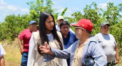 Mejoran caminos para agilizar el traslado de mercancías y cosechas: municipios beneficiados