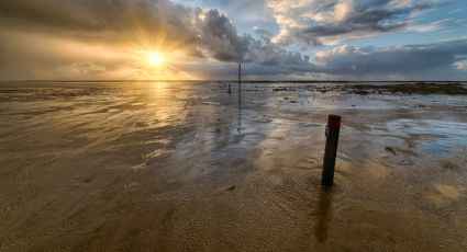 Ciclón tropical Mario: ¿cuándo se formará y qué efectos tendrá en Yucatán?