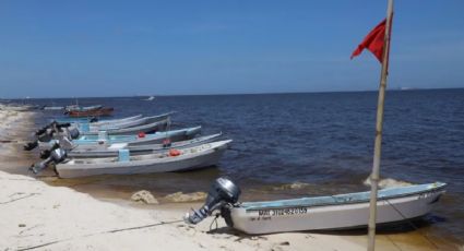 Declaran oficialmente el fin de la contingencia por marea roja en Yucatán
