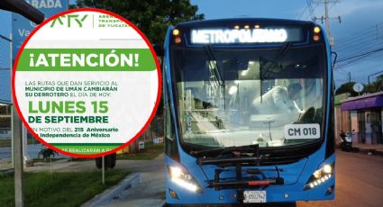 Fiestas patrias: ¿cuáles serán los horarios del Va y Ven este 15 de septiembre?