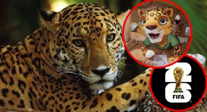 Mundial 2026: ¿quién es Zayu, el jaguar que representará a México?