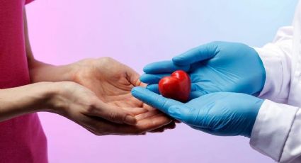 Yucatán, comprometido en donación y trasplantes de órganos en México: así avanza el programa estatal