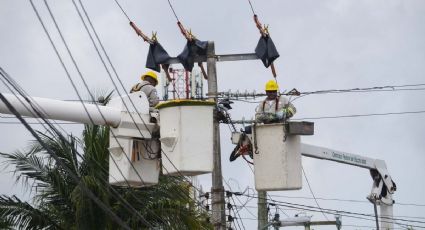 Apagón en Yucatán: ¿en qué municipios ya se restableció el servicio?
