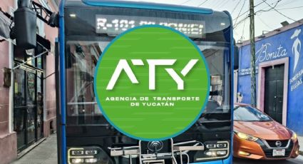 Apagón masivo en Yucatán: así vivieron los usuarios del IE-Tram y Va y Ven las limitaciones
