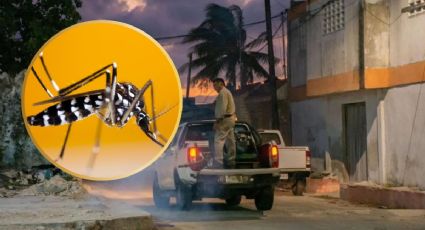 Gobierno de Yucatán inicia operativo contra el mosquito de la ciénaga: ¿en qué zonas?