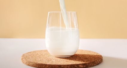 Profeco revela cual es la leche con más proteína y solo cuesta 40 pesos ¿Se vende en Yucatán?