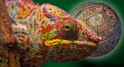 Horóscopo maya 1 de enero: los 3 signos que brillarán con fuerza en 2026