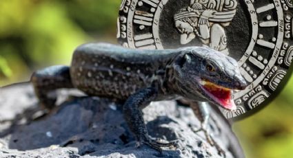 Horóscopo maya 2 de enero: 3 signos que deben tener cuidado en 2026, según el Mes del Lagarto