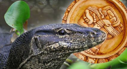 Horóscopo maya 3 de enero: los 3 signos que sufrirán por amor en 2026 según el Mes del Lagarto