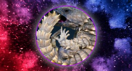 Horóscopo maya 4 de enero: 3 signos que recibirán mucho dinero en 2026, según el cosmos