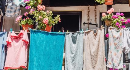 Clima en Yucatán: se mantiene el ambiente fresco este martes 20 de enero por el frente frío 29