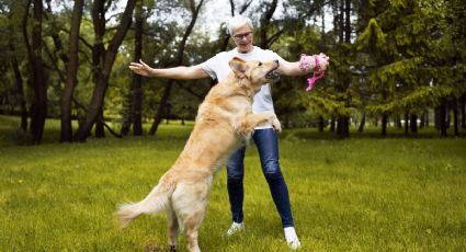 Mascotas y salud: ¿tener un perro te ayuda a prevenir infartos?