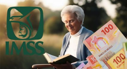 Pensión IMSS febrero 2026: fecha exacta del pago en Yucatán