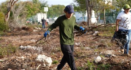 Recuperan espacios verdes en el fraccionamiento Las Américas, en Mérida