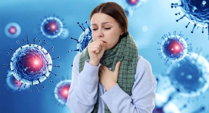 ¿Hay un brote del virus Nipah? Qué es, síntomas y situación en Yucatán