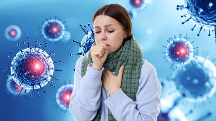 ¿Hay un brote del virus Nipah? Qué es, síntomas y situación en Yucatán