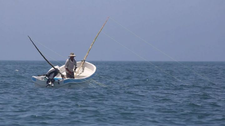 Pescadores de Yucatán recibirán 6,000 pesos durante veda: requisitos y fechas del programa