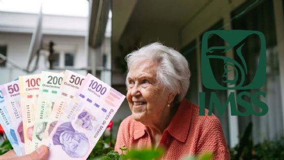 Pensión IMSS en Yucatán: así puedes solicitarla en línea | PASO A PASO