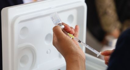 Temporada invernal: ¿cuándo concluyen las campañas de vacunación en Yucatán?