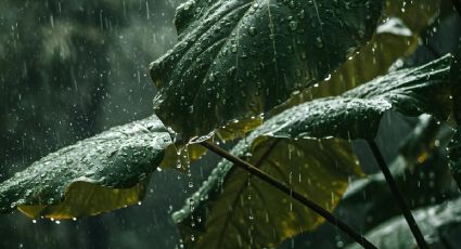 Frente frío 27: ¿Cuáles serán los efectos de Maax ik sobre Yucatán?