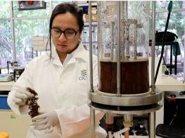 Mujeres en la ciencia: si se desperdicia talento, pierde la sociedad
