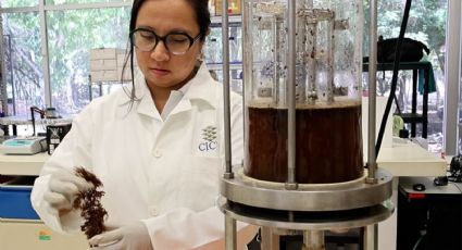 Mujeres en la ciencia: si se desperdicia talento, pierde la sociedad