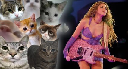 Shakira en Mérida: así es como tu gato te podría llevar al concierto | Guía paso a paso