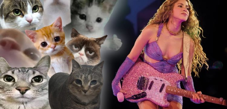 Shakira en Mérida: así es como tu gato te podría llevar al concierto | Guía paso a paso