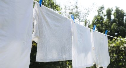 Clima en Yucatán: heladez de hasta 5 grados este lunes 2 de febrero