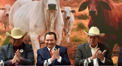 Presentan Congreso Mundial Brahman Yucatán 2026