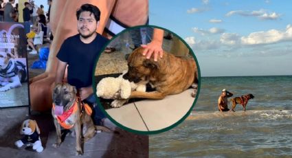 Allan y Thor: la historia de cómo un video viral se convirtió en un caso de amor y compañerismo