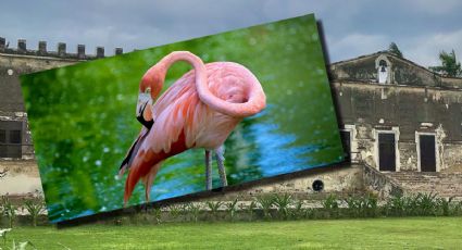 Las 7 maravillas históricas de Yucatán que debes visitar al menos una vez en la vida