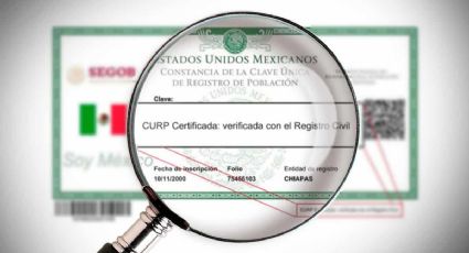 CURP certificada en Yucatán: ¿cómo identificarla y dónde tramitarla si no la tienes?