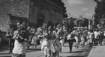 Organizaciones y colectivos son fundamentales en el tejido social de Mérida