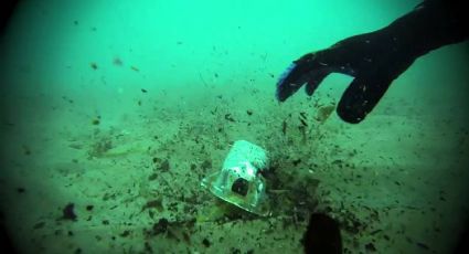 ZOFEMAT busca voluntarios para limpieza de fondo marino: así es la convocatoria