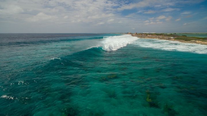 Clima en Yucatán: El invierno se despide con un frente frío cargado con lluvias, viento y heladez