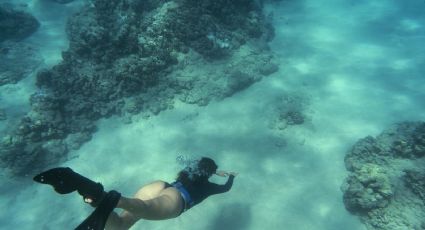 Vacaciones de Semana Santa: ¿por qué los cenotes son una visita obligada en Yucatán?