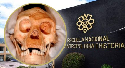 INAH estudia fósil humano de 8 mil años hallado en una cueva submarina en la Península de Yucatán